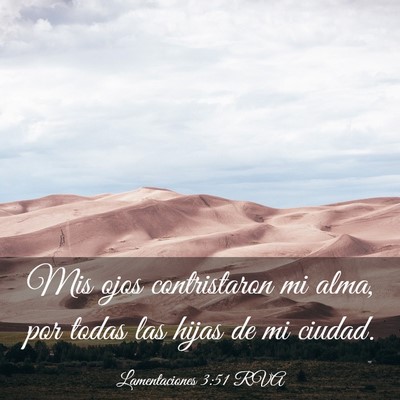 Picture 03 - Lamentaciones 3:51 RVA - Mis ojos contristaron mi alma, por todas las - Bible Verse Picture