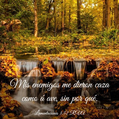 Picture 03 - Lamentaciones 3:52 RVA - Mis enemigos me dieron caza como á ave, sin por - Bible Verse Picture