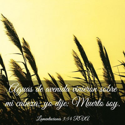 Picture 03 - Lamentaciones 3:54 RVA - Aguas de avenida vinieron sobre mi cabeza; yo - Bible Verse Picture