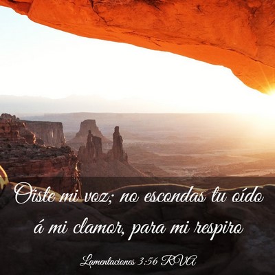 Picture 03 - Lamentaciones 3:56 RVA - Oiste mi voz; no escondas tu oído á mi clamor, - Bible Verse Picture