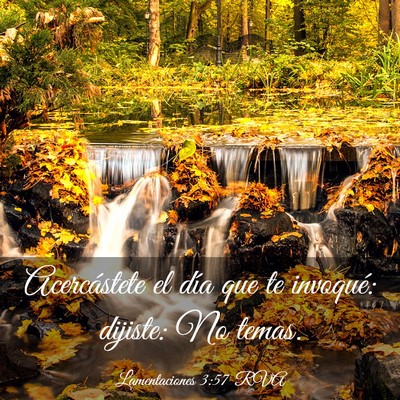 Picture 03 - Lamentaciones 3:57 RVA - Acercástete el día que te invoqué: dijiste: No - Bible Verse Picture