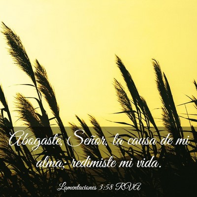 Picture 03 - Lamentaciones 3:58 RVA - Abogaste, Señor, la causa de mi alma; redimiste - Bible Verse Picture