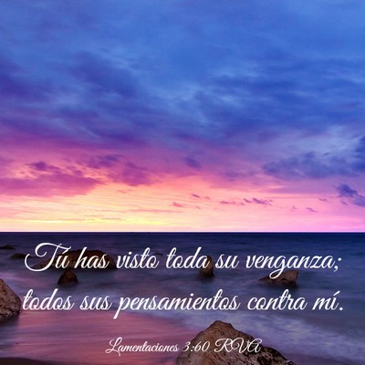 Picture 03 - Lamentaciones 3:60 RVA - Tú has visto toda su venganza; todos sus - Bible Verse Picture