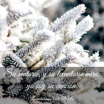 Picture 03 - Lamentaciones 3:63 RVA - Su sentarse, y su levantarse mira: yo soy su - Bible Verse Picture