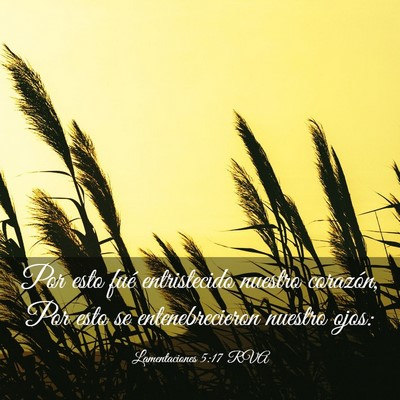 Picture 03 - Lamentaciones 5:17 RVA - Por esto fué entristecido nuestro corazón, Por - Bible Verse Picture