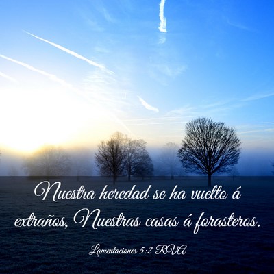 Picture 03 - Lamentaciones 5:2 RVA - Nuestra heredad se ha vuelto á extraños, - Bible Verse Picture