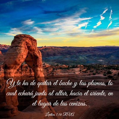 Picture 03 - Levítico 1:16 RVA - Y le ha de quitar el buche y las plumas, lo cual - Bible Verse Picture