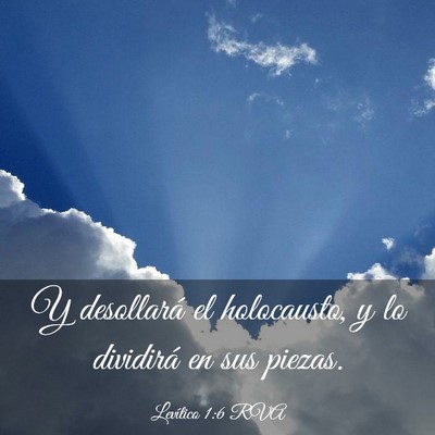 Picture 03 - Levítico 1:6 RVA - Y desollará el holocausto, y lo dividirá en sus - Bible Verse Picture