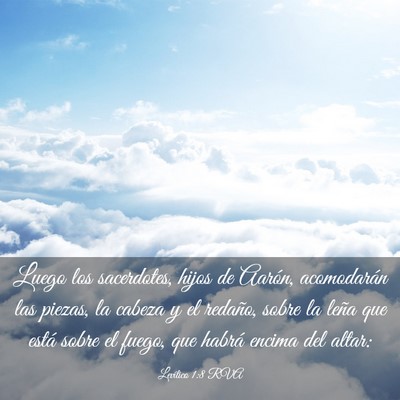 Picture 03 - Levítico 1:8 RVA - Luego los sacerdotes, hijos de Aarón, - Bible Verse Picture
