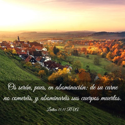 Picture 03 - Levítico 11:11 RVA - Os serán, pues, en abominación: de su carne no - Bible Verse Picture