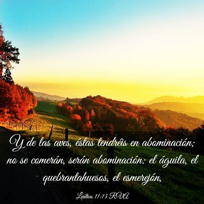 Picture 03 - Levítico 11:13 RVA - Y de las aves, éstas tendréis en abominación; - Bible Verse Picture
