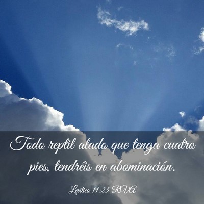 Picture 03 - Levítico 11:23 RVA - Todo reptil alado que tenga cuatro pies, - Bible Verse Picture