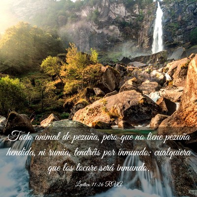 Picture 03 - Levítico 11:26 RVA - Todo animal de pezuña, pero que no tiene pezuña - Bible Verse Picture