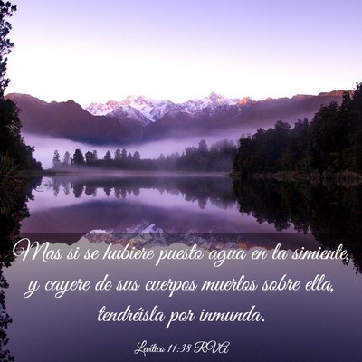 Picture 03 - Levítico 11:38 RVA - Mas si se hubiere puesto agua en la simiente, y - Bible Verse Picture
