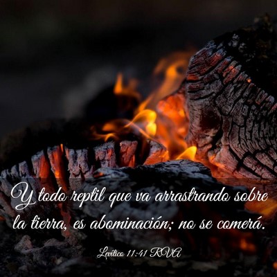Picture 03 - Levítico 11:41 RVA - Y todo reptil que va arrastrando sobre la tierra, - Bible Verse Picture