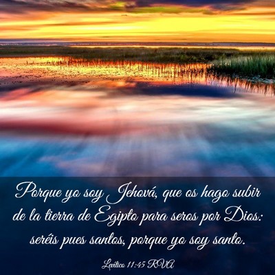 Picture 03 - Levítico 11:45 RVA - Porque yo soy Jehová, que os hago subir de la - Bible Verse Picture