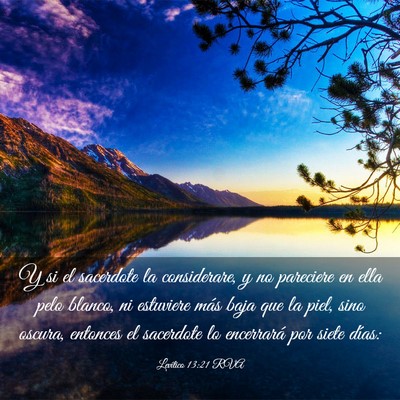 Picture 03 - Levítico 13:21 RVA - Y si el sacerdote la considerare, y no pareciere - Bible Verse Picture