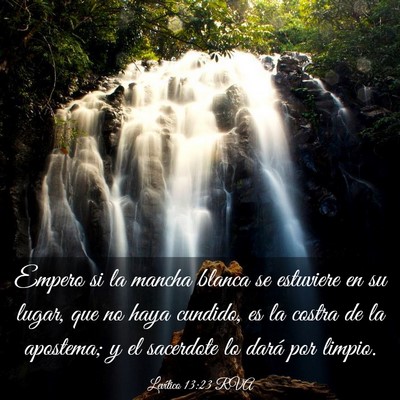 Picture 03 - Levítico 13:23 RVA - Empero si la mancha blanca se estuviere en su - Bible Verse Picture