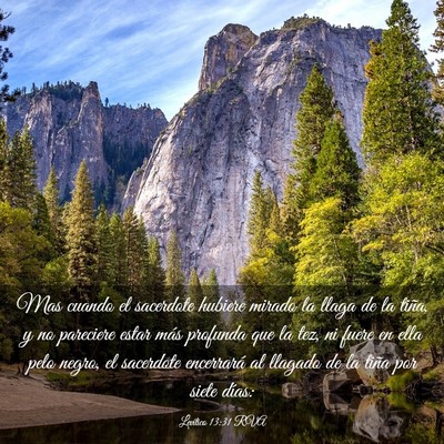 Picture 03 - Levítico 13:31 RVA - Mas cuando el sacerdote hubiere mirado la llaga - Bible Verse Picture
