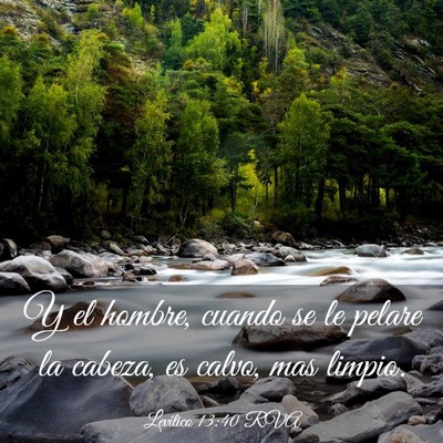 Picture 03 - Levítico 13:40 RVA - Y el hombre, cuando se le pelare la cabeza, es - Bible Verse Picture