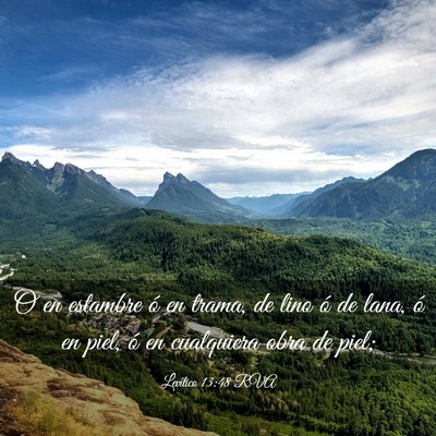Picture 03 - Levítico 13:48 RVA - O en estambre ó en trama, de lino ó de lana, ó - Bible Verse Picture