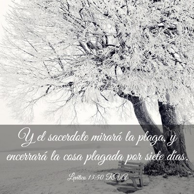 Picture 03 - Levítico 13:50 RVA - Y el sacerdote mirará la plaga, y encerrará la - Bible Verse Picture