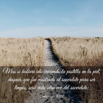 Picture 03 - Levítico 13:7 RVA - Mas si hubiere ido creciendo la postilla en la - Bible Verse Picture