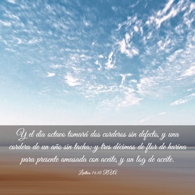 Picture 03 - Levítico 14:10 RVA - Y el día octavo tomará dos corderos sin - Bible Verse Picture