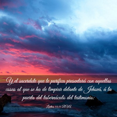 Picture 03 - Levítico 14:11 RVA - Y el sacerdote que le purifica presentará con - Bible Verse Picture