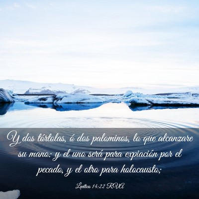 Picture 03 - Levítico 14:22 RVA - Y dos tórtolas, ó dos palominos, lo que - Bible Verse Picture