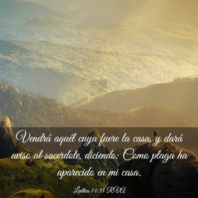 Picture 03 - Levítico 14:35 RVA - Vendrá aquél cuya fuere la casa, y dará aviso - Bible Verse Picture