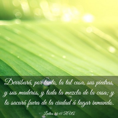 Picture 03 - Levítico 14:45 RVA - Derribará, por tanto, la tal casa, sus piedras, - Bible Verse Picture