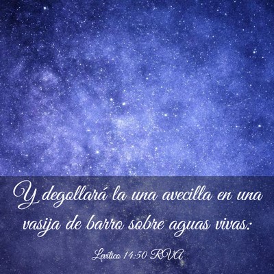 Picture 03 - Levítico 14:50 RVA - Y degollará la una avecilla en una vasija de - Bible Verse Picture