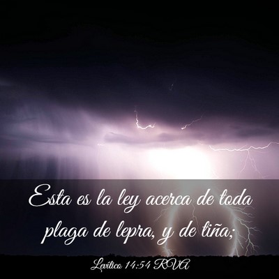 Picture 03 - Levítico 14:54 RVA - Esta es la ley acerca de toda plaga de lepra, y - Bible Verse Picture