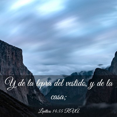 Picture 03 - Levítico 14:55 RVA - Y de la lepra del vestido, y de la - Bible Verse Picture