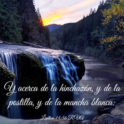 Picture 03 - Levítico 14:56 RVA - Y acerca de la hinchazón, y de la postilla, y de - Bible Verse Picture