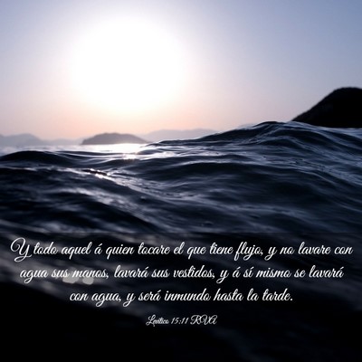 Picture 03 - Levítico 15:11 RVA - Y todo aquel á quien tocare el que tiene flujo, - Bible Verse Picture