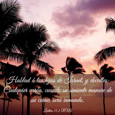 Picture 03 - Levítico 15:2 RVA - Hablad á los hijos de Israel, y decidles: - Bible Verse Picture