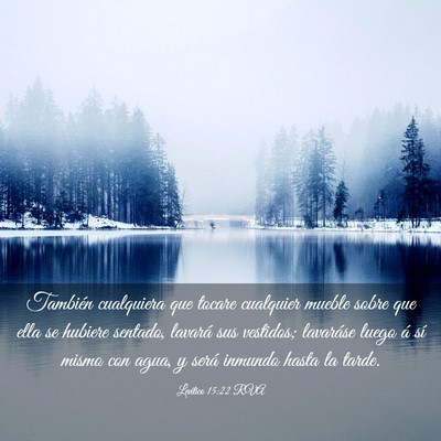 Picture 03 - Levítico 15:22 RVA - También cualquiera que tocare cualquier mueble - Bible Verse Picture