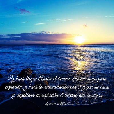 Picture 03 - Levítico 16:11 RVA - Y hará llegar Aarón el becerro que era suyo - Bible Verse Picture