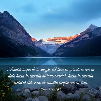 Picture 03 - Levítico 16:14 RVA - Tomará luego de la sangre del becerro, y - Bible Verse Picture