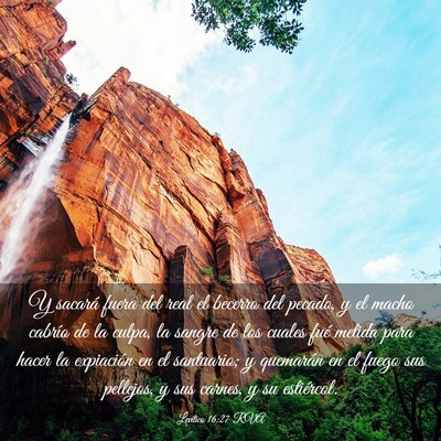 Picture 03 - Levítico 16:27 RVA - Y sacará fuera del real el becerro del pecado, y - Bible Verse Picture