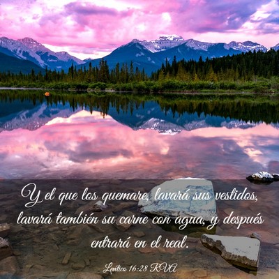Picture 03 - Levítico 16:28 RVA - Y el que los quemare, lavará sus vestidos, - Bible Verse Picture