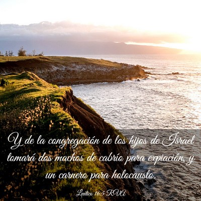 Picture 03 - Levítico 16:5 RVA - Y de la congregación de los hijos de Israel - Bible Verse Picture