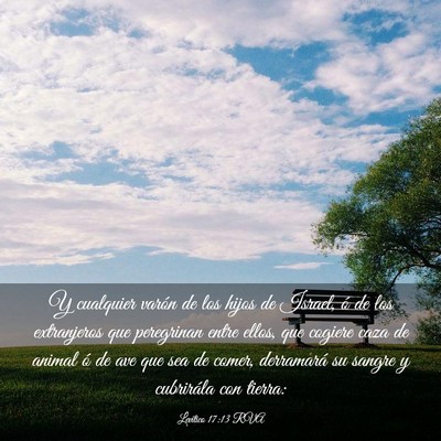 Picture 03 - Levítico 17:13 RVA - Y cualquier varón de los hijos de Israel, ó de - Bible Verse Picture