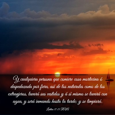 Picture 03 - Levítico 17:15 RVA - Y cualquiera persona que comiere cosa mortecina - Bible Verse Picture