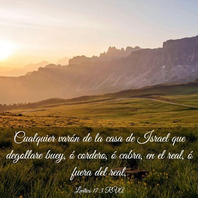 Picture 03 - Levítico 17:3 RVA - Cualquier varón de la casa de Israel que - Bible Verse Picture