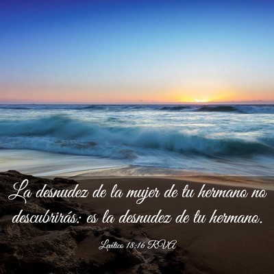 Picture 03 - Levítico 18:16 RVA - La desnudez de la mujer de tu hermano no - Bible Verse Picture