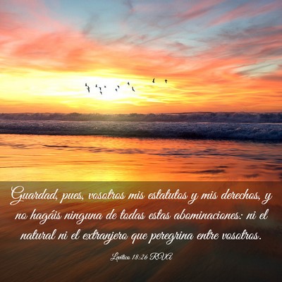 Picture 03 - Levítico 18:26 RVA - Guardad, pues, vosotros mis estatutos y mis - Bible Verse Picture