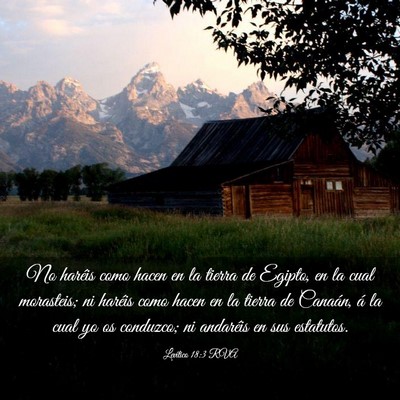 Picture 03 - Levítico 18:3 RVA - No haréis como hacen en la tierra de Egipto, en - Bible Verse Picture